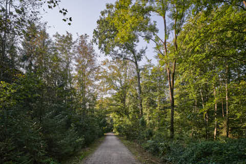 Gemeinde Altötting Landkreis Altötting Forst Fürstenweg (Dirschl Johann) Deutschland AÖ